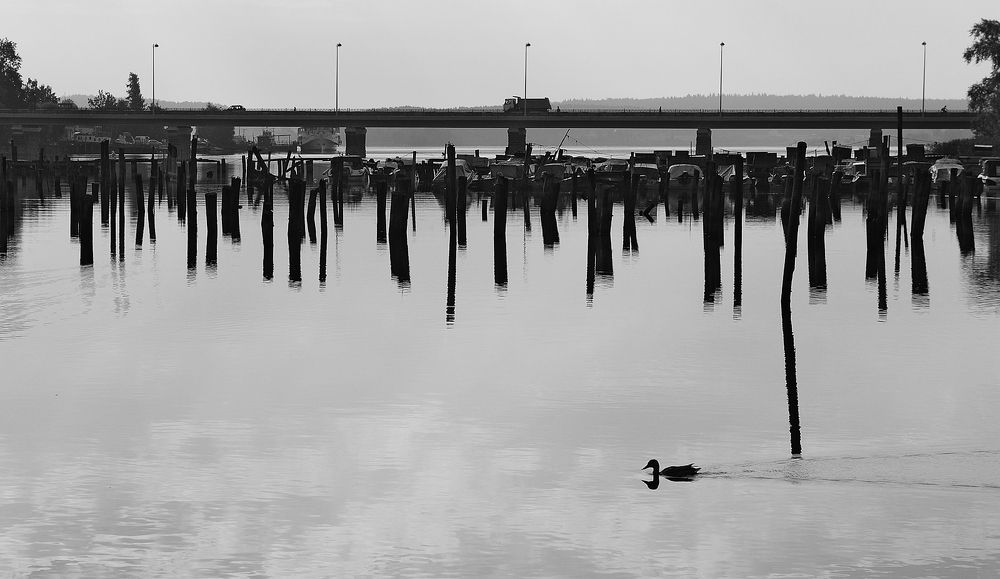 Photograph by Сергей Сережников