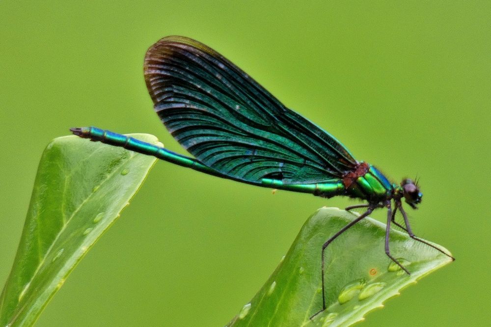 Photograph by backareva irina