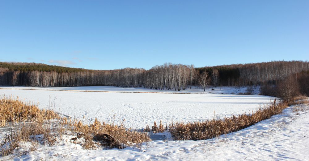 Морозный день на пруду