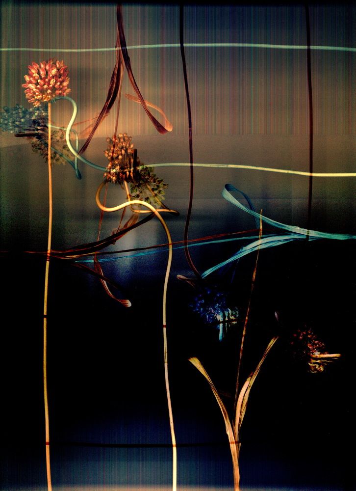 Photograph by Светлана Борозенцева