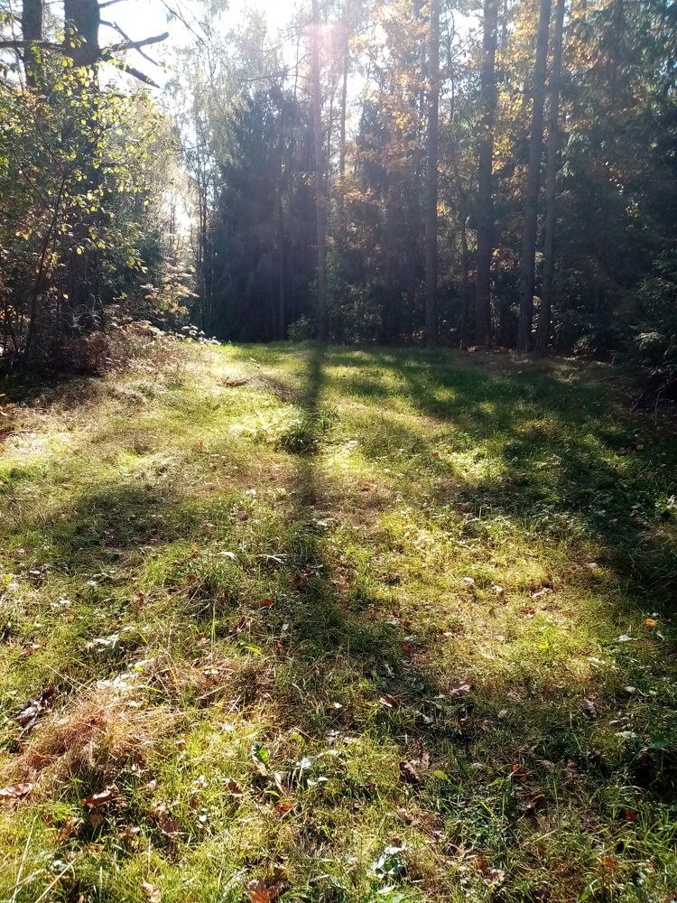 Photo #6829279
