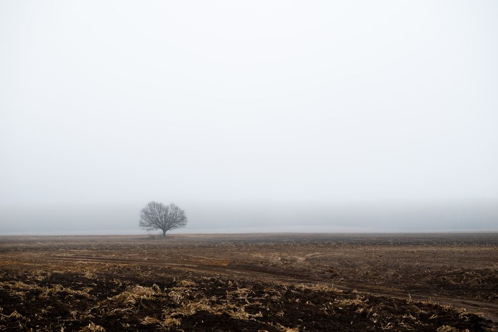 Photograph by Ольга Бегляк