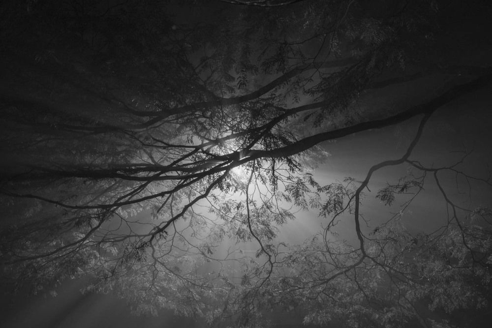 Photograph by Mauricio Bertoni