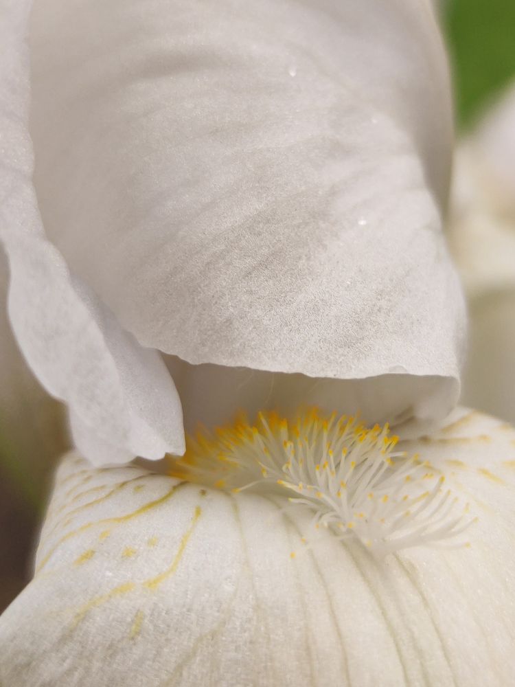 Photograph by Карина Берещанская