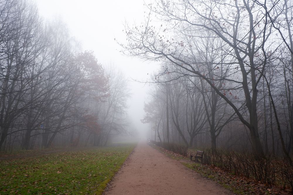 Photograph by Ольга Тюрина