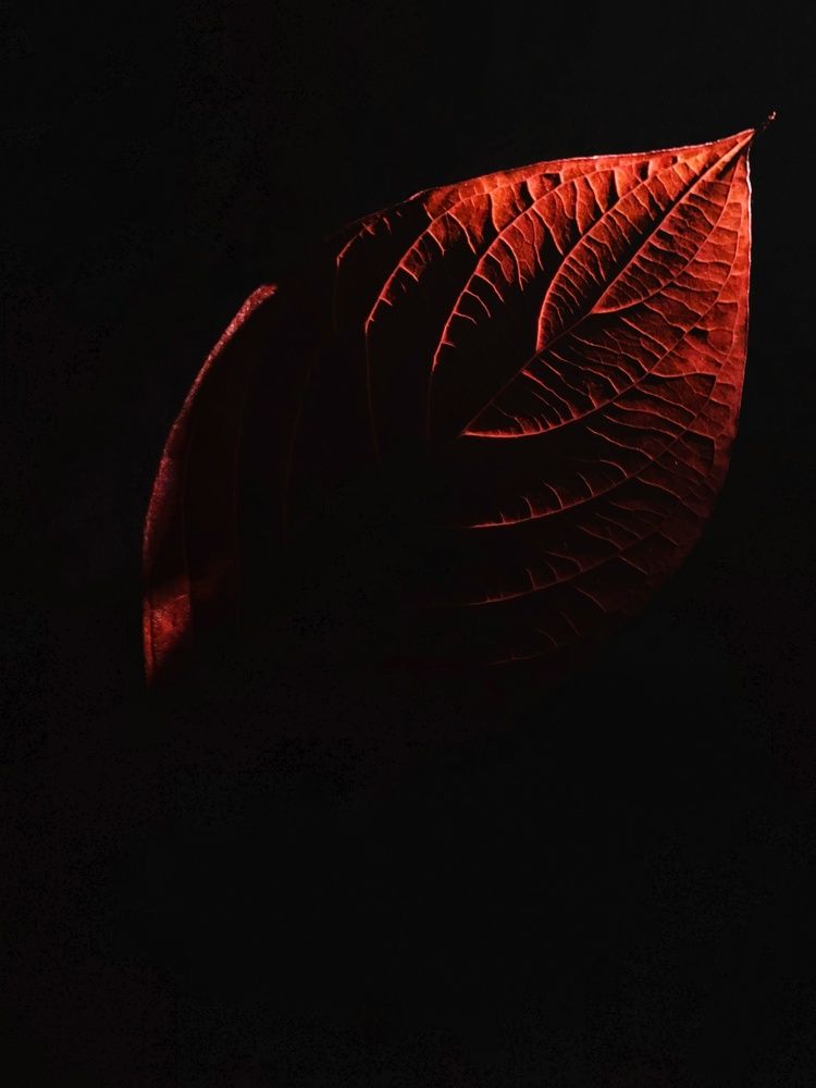 Photograph by Татьяна Шарко