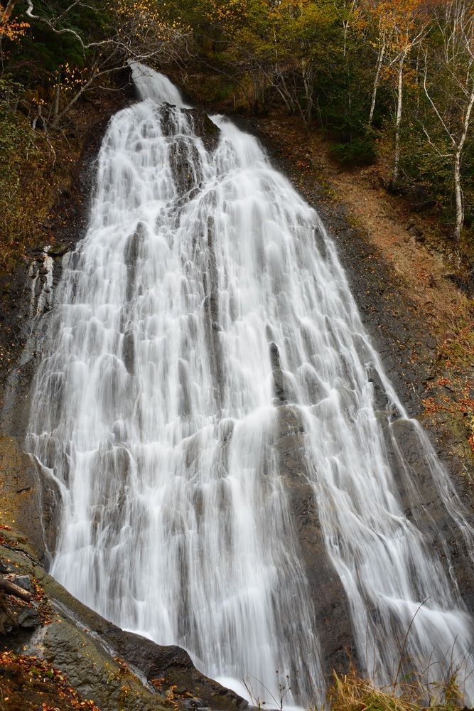 Photograph by Дмитрий