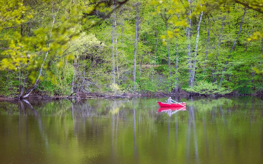 Photograph by Наталья Шалкевич