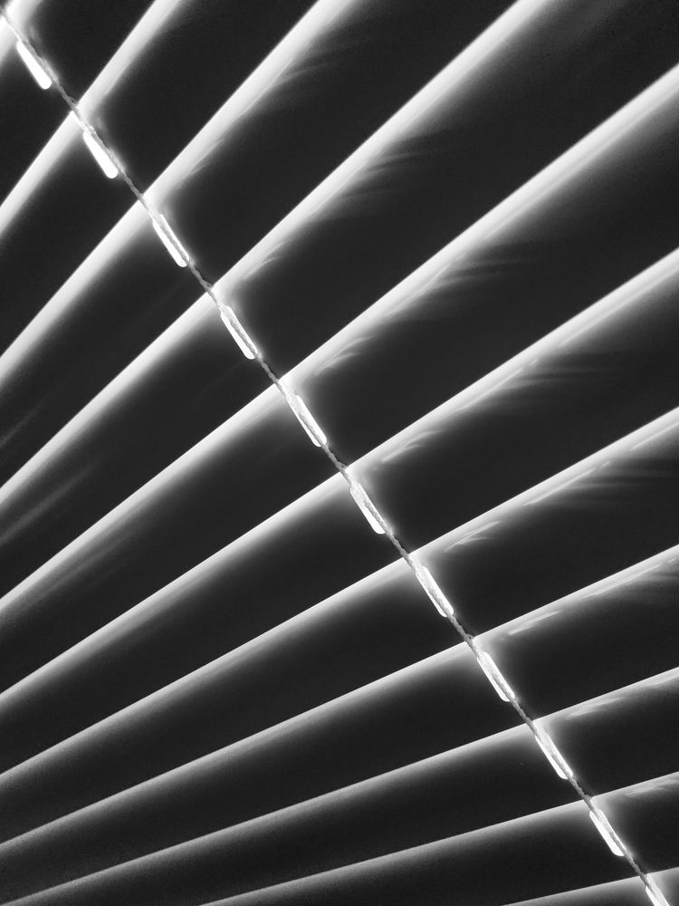 Light and blinds