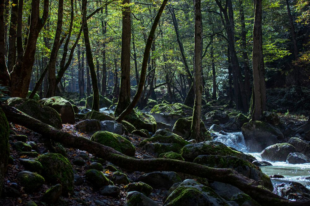 Photograph by Ahmed Dhahi