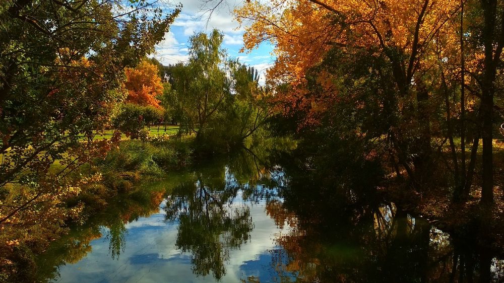 Фотография автора Алексей Головатый
