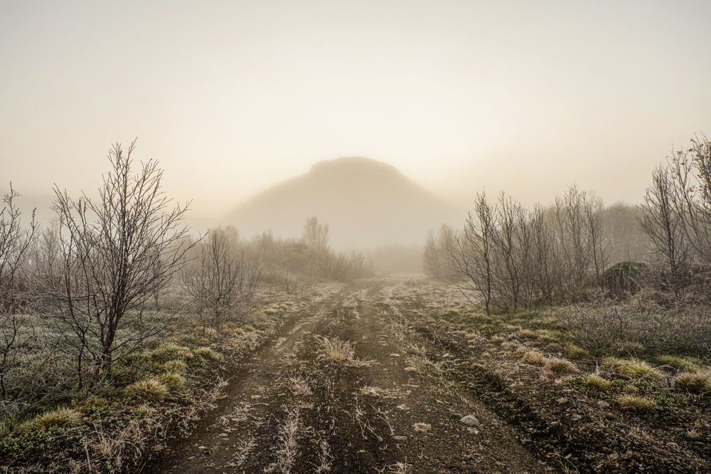 Photograph by Олег Яромий