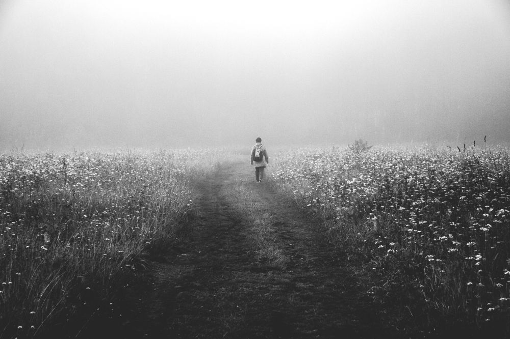 Photograph by Никита Соловьев