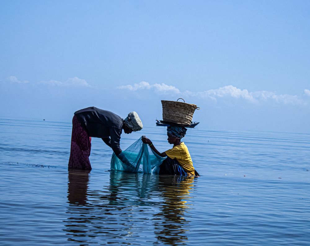 Photograph by Michael Albin