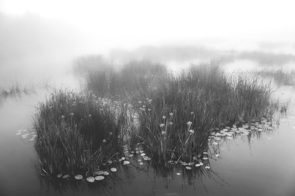 Photograph by Никита Соловьев