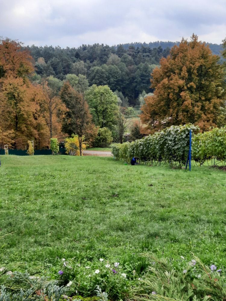 Photograph by Ириша Гайдель