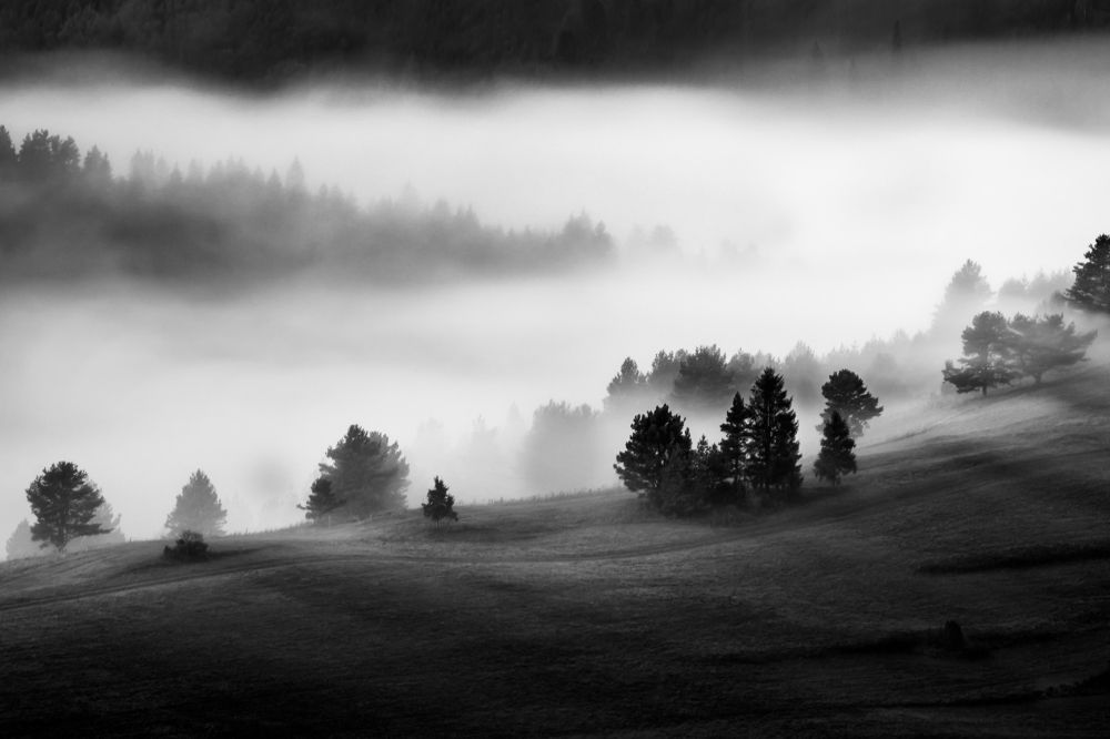 Photograph by Ľuboš Balažovič