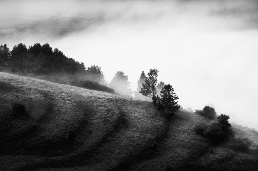 Photograph by Ľuboš Balažovič