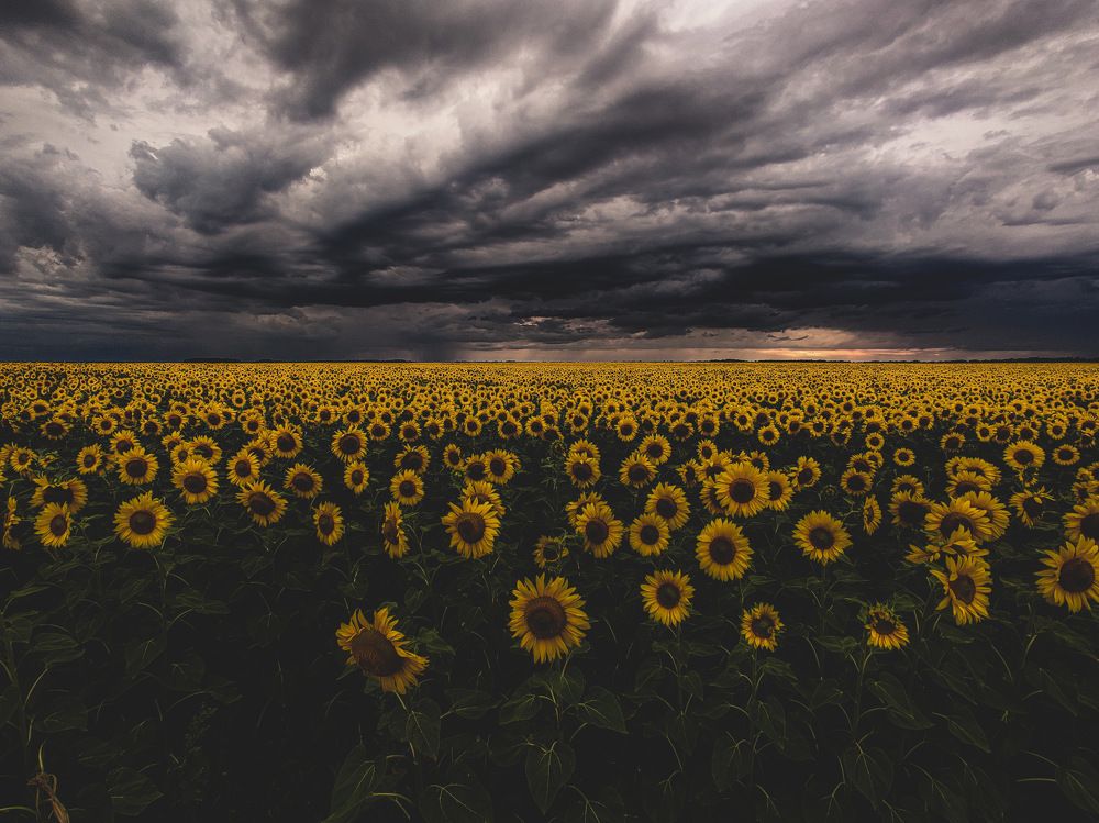 Photograph by _ AZIMOV