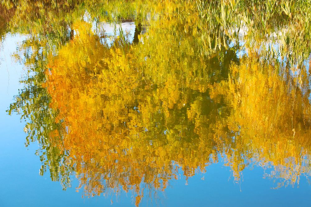 Осень в озере
