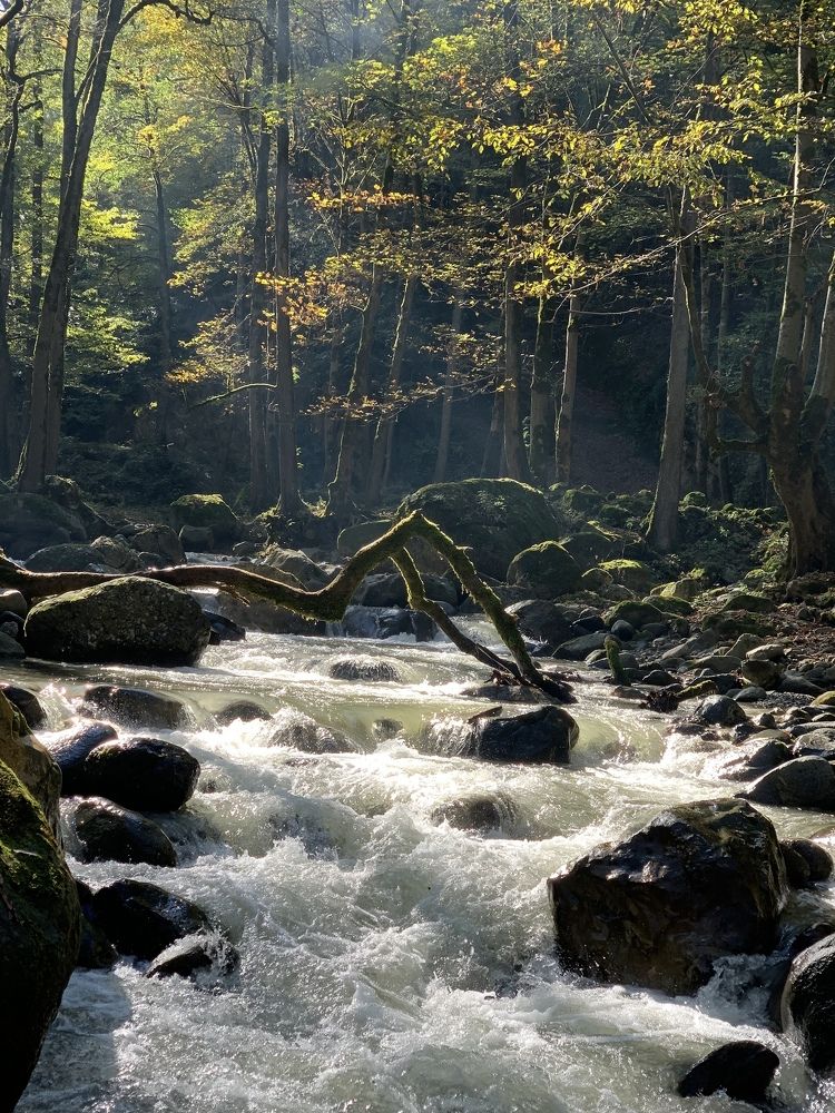 Photograph by Saif Aljabri