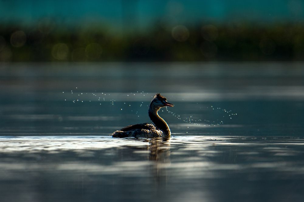 Photograph by Pinak Paul