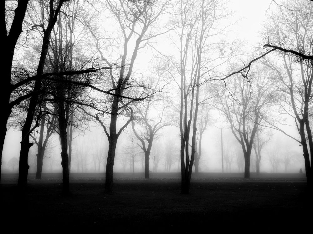 Photograph by Olga Asson