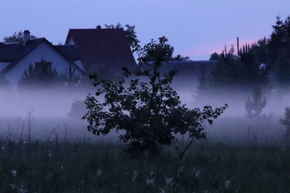 Photograph by Olga Asson