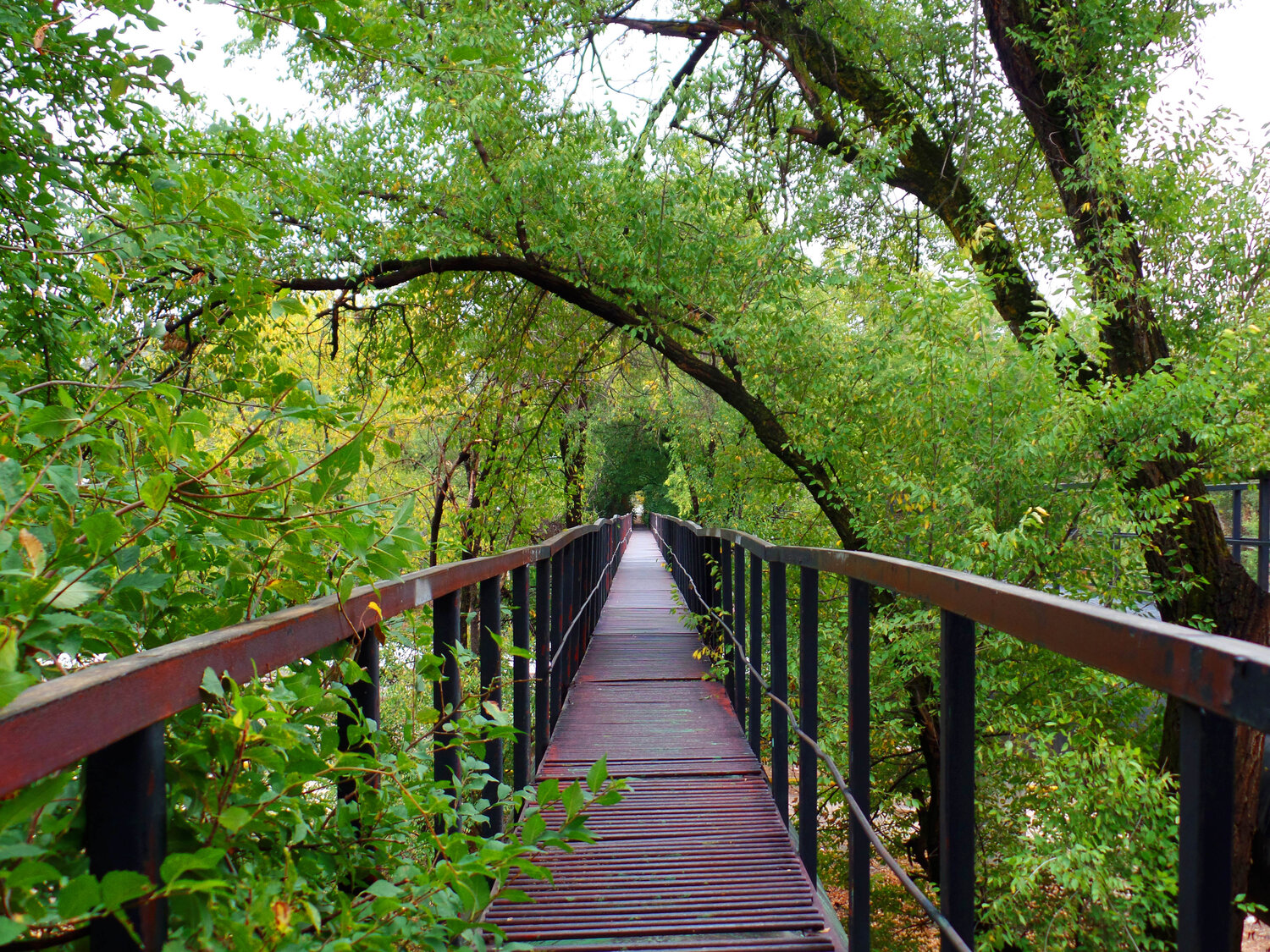 Bridge to the greenland