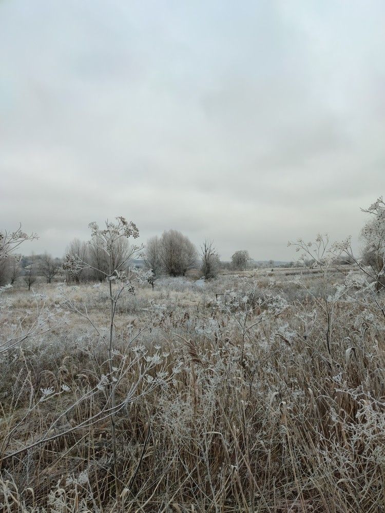 Photograph by Владимир Силенко