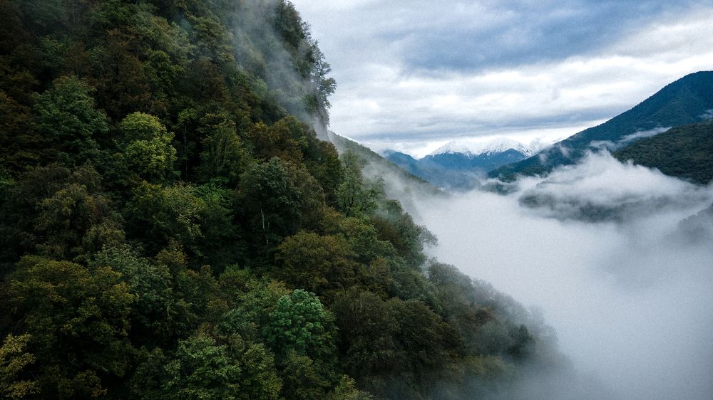 Photograph by Александр Кислов