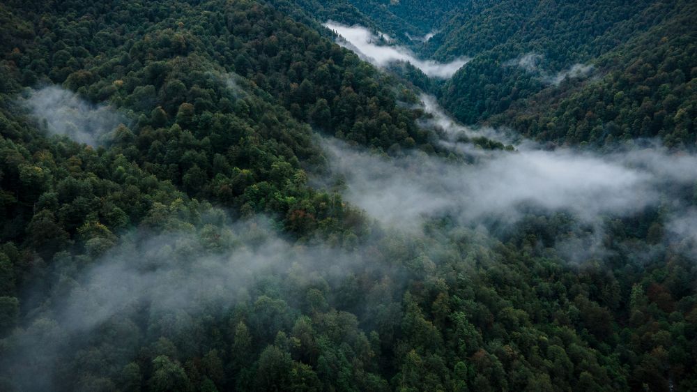 Photograph by Александр Кислов