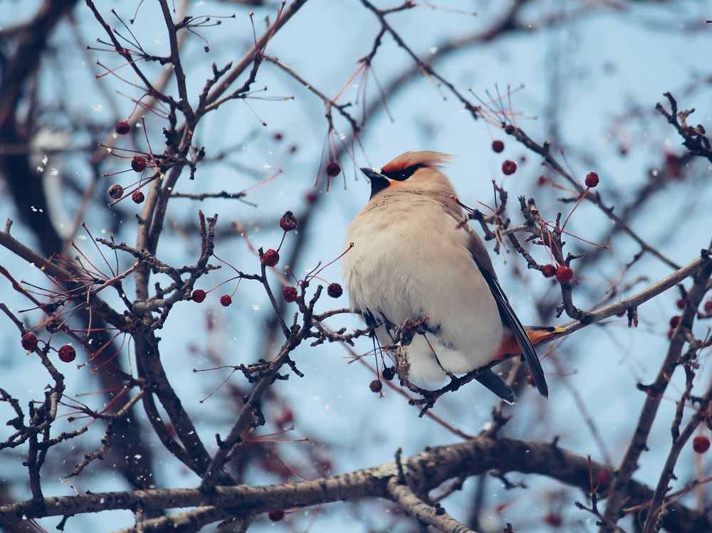 Photograph by Юлия Серазетдинова