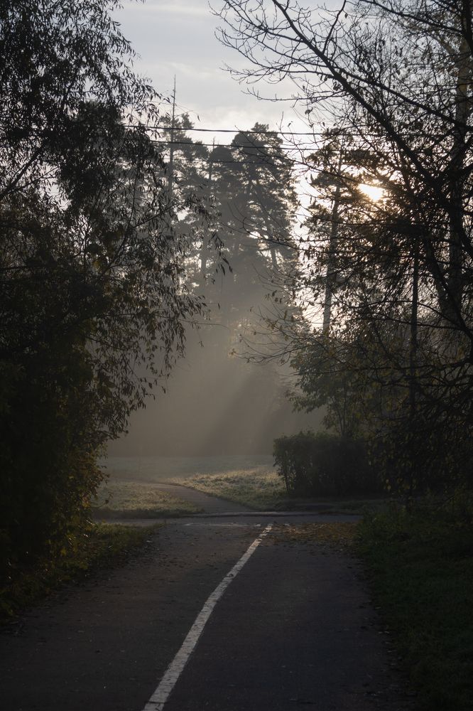 Photograph by Михаил Марсаков