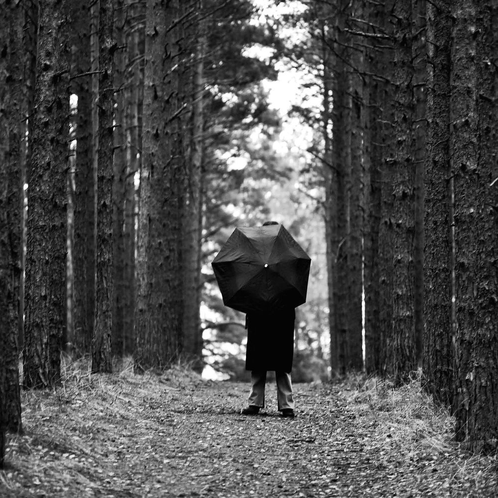 Photograph by 