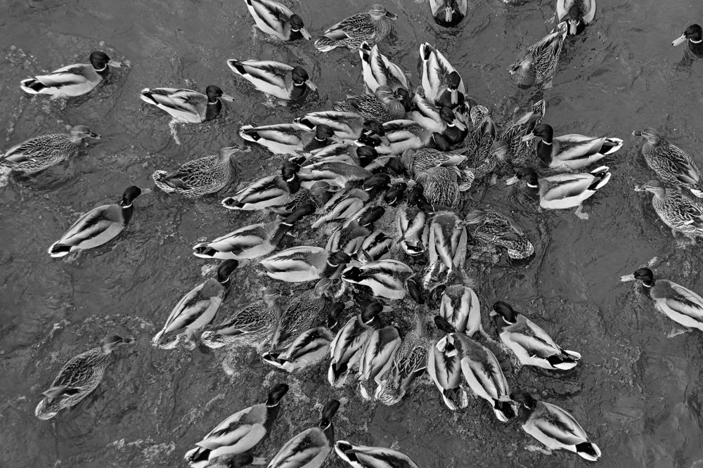 Photograph by Валерия Бахолдина