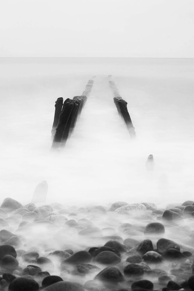 Photograph by 