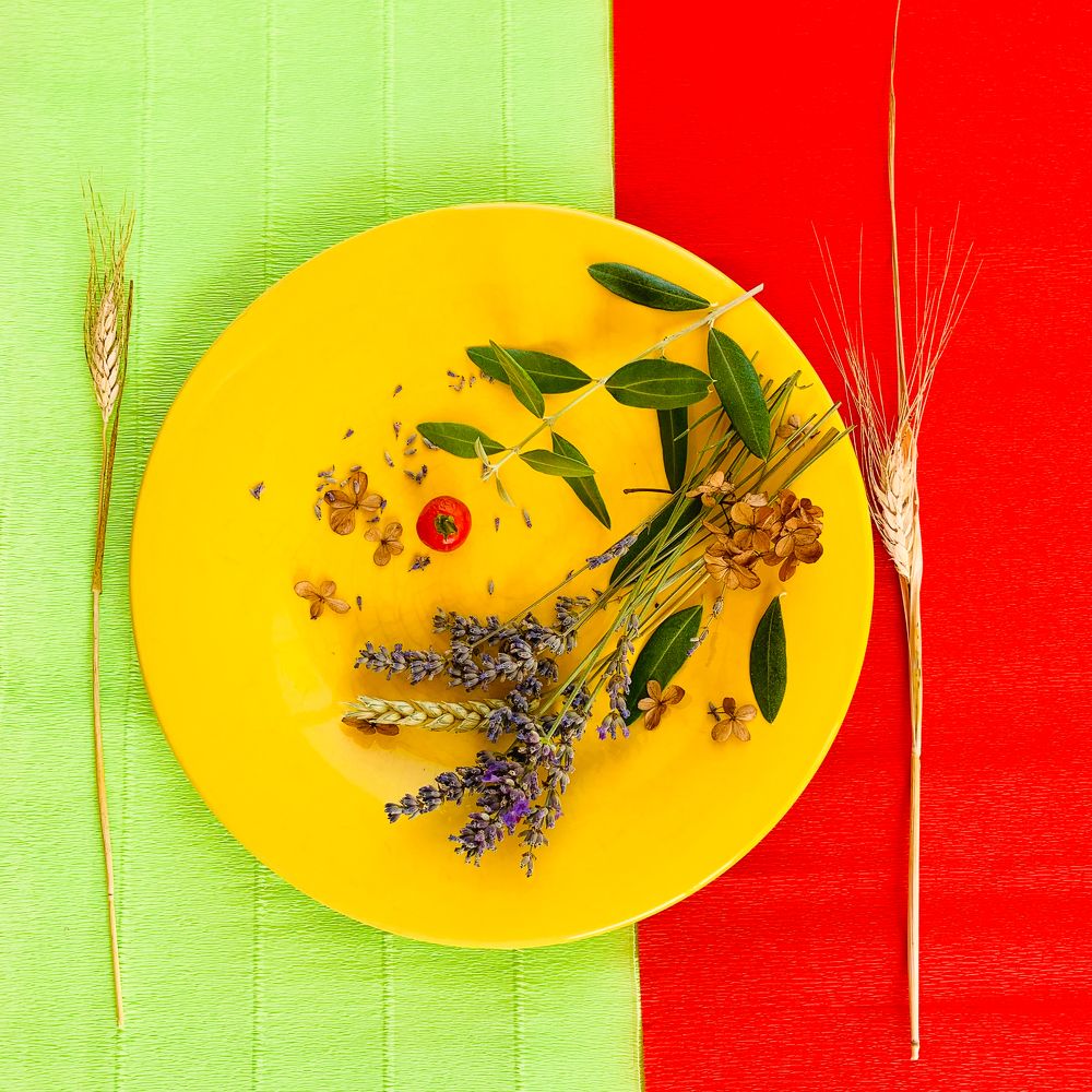 Photograph by Valentina Acrement