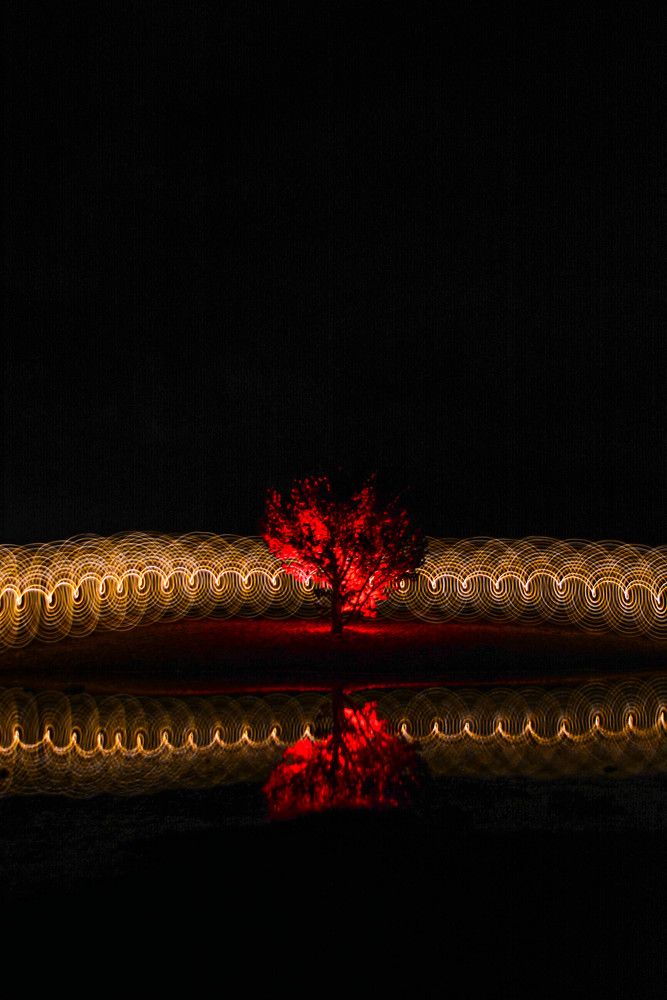 Photograph by Сергей Доржиев