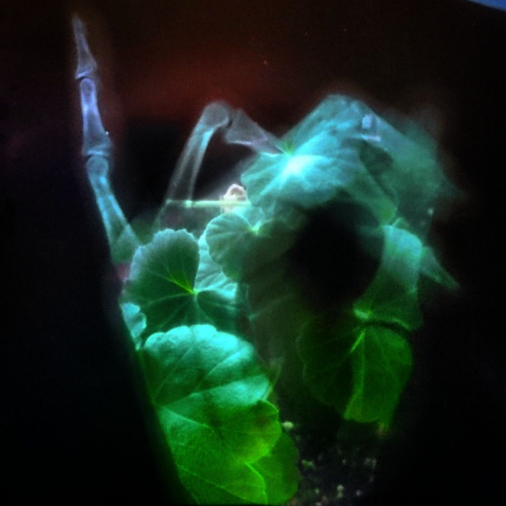 Photograph by Майя Коваль