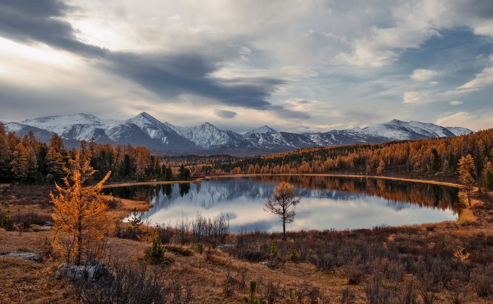 Photograph by lora_pavlova