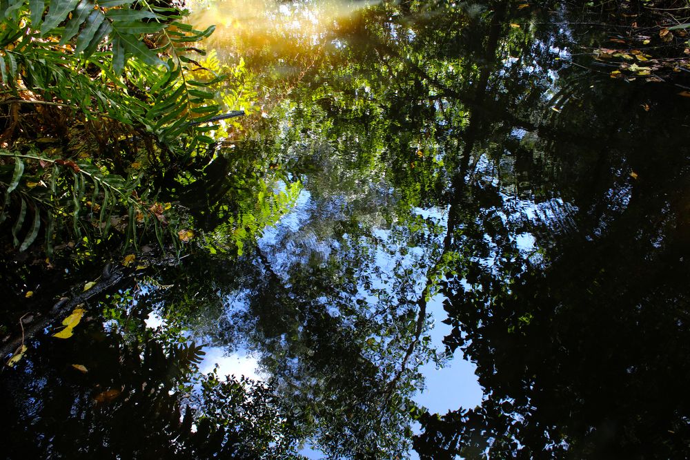 Фотография автора Cavalcante Pinheiro Filho José Flávio