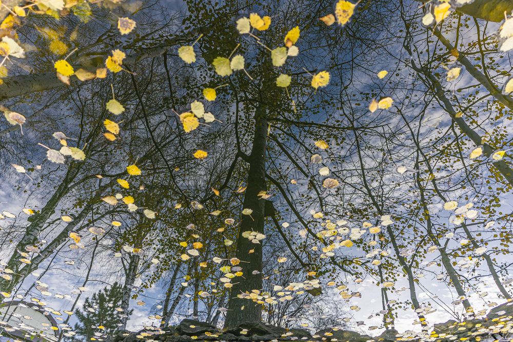 Photograph by Виктор Зотов