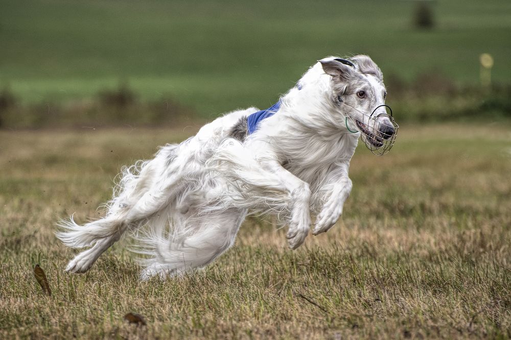 Photograph by Сергей Шварцман