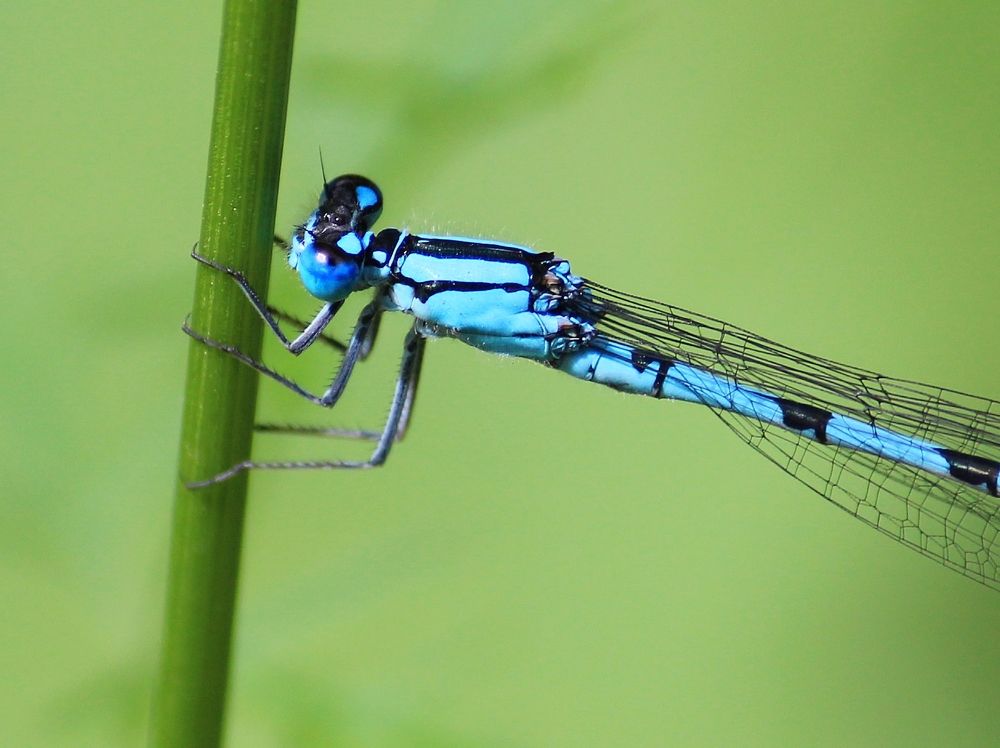 Photograph by Юлия Серазетдинова