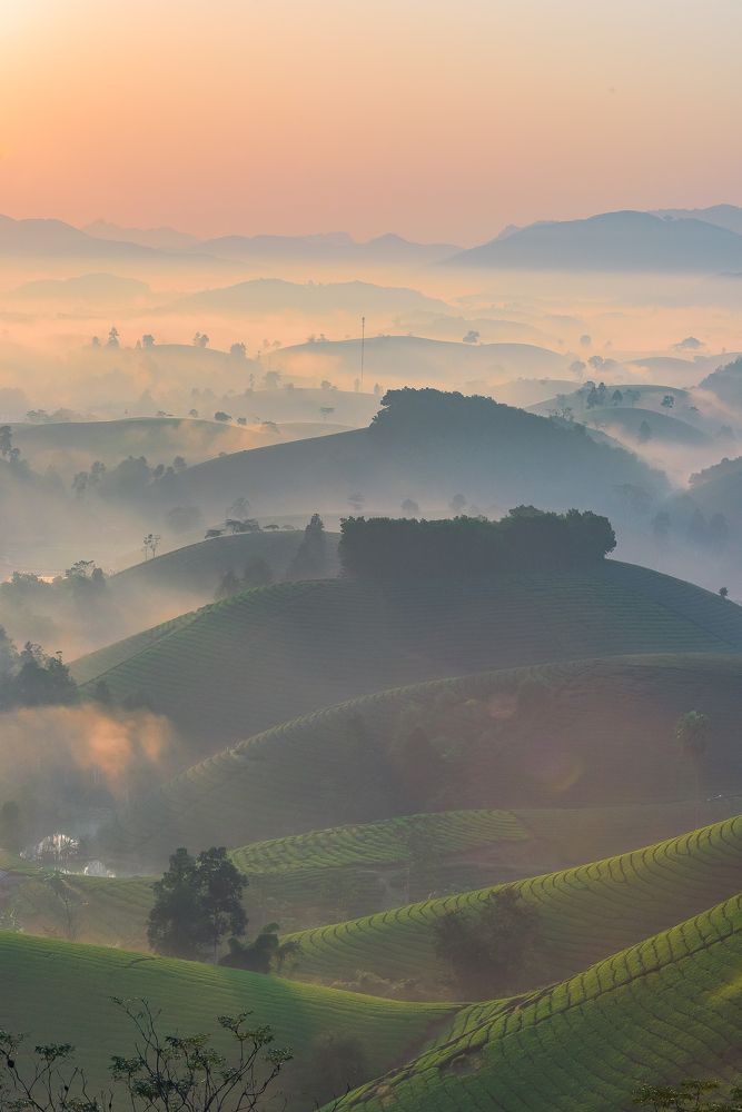 Фотография автора Đức Nguyễn