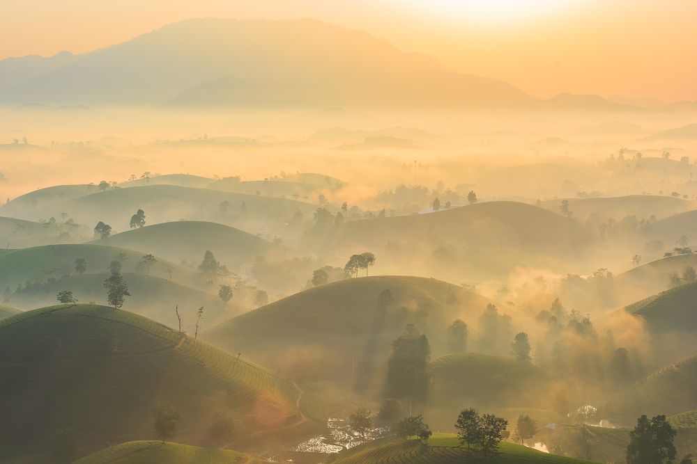 Photograph by Đức Nguyễn