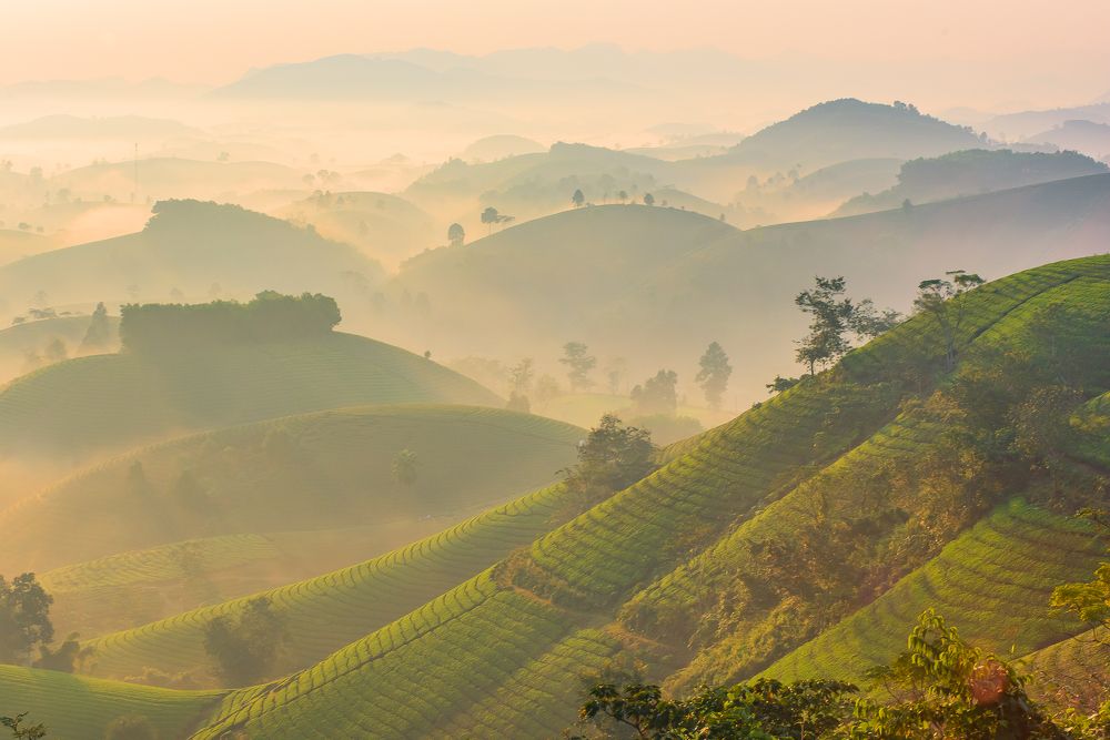 Photograph by Đức Nguyễn