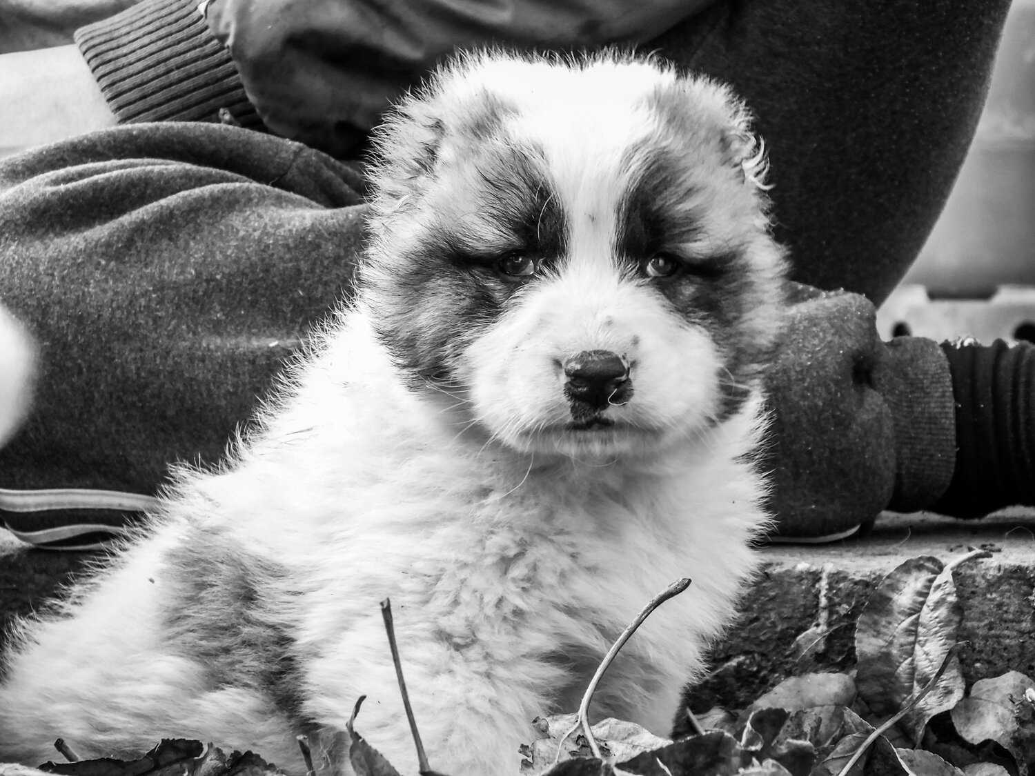 Photo #6830669