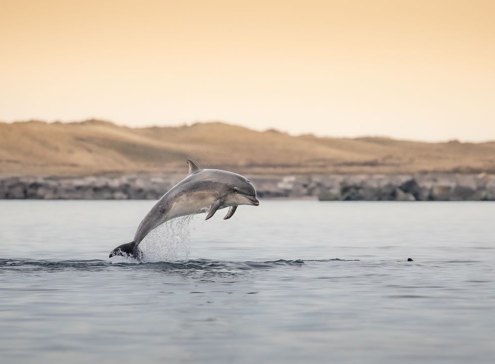 Photograph by Carsten Thamdrup Lund